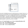 spalmitoylated protein kit2