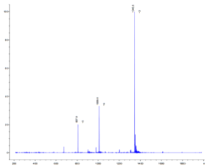 dPc10 inactive peptide