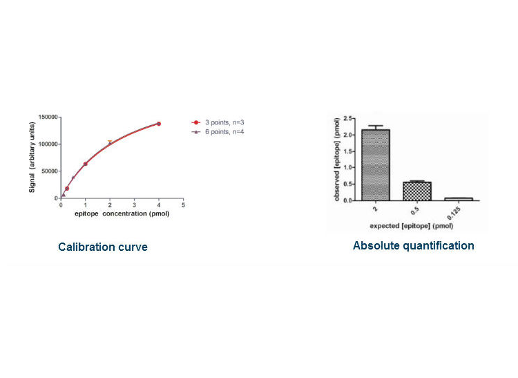 calibration curve and